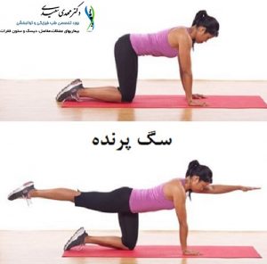 سگ پرنده